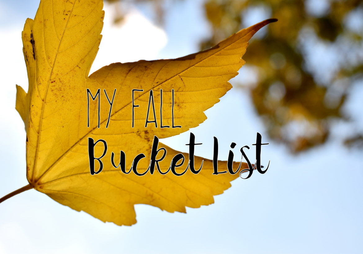 Bucket Liste für den Herbst mit Dingen die ich diesen Herbst unbedingt machen möchte von Kürbissuppe kochen über gute Bücher lesen bis hin zu Pumpkin Spice Latte Rezept ausprobieren.