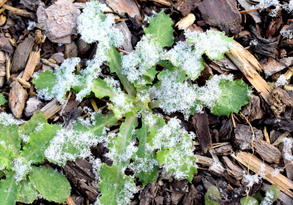 Fotografisch durch die Jahreszeiten WInter