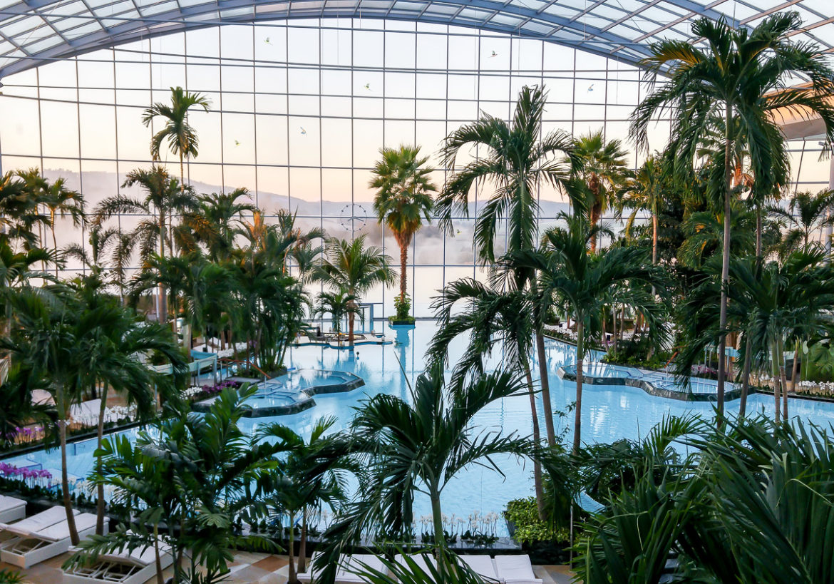 Thermen & Badewelt Sinsheim: Dampfbad Zeremonie und Erfahrungen Palmenparadies Palmen Schwimmbad Sauna