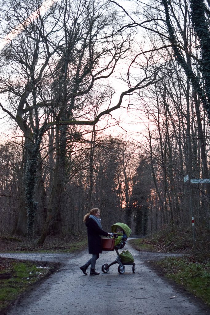 Familienausflug in den Tierpark im Winter Oberwald Karlsruhe