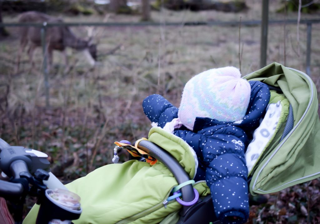 Familienausflug in den Tierpark im Winter mit Kleinkind in den Wildpark Oberwald Karlsruhe Erfahrungen auf I need sunshine Mamablog