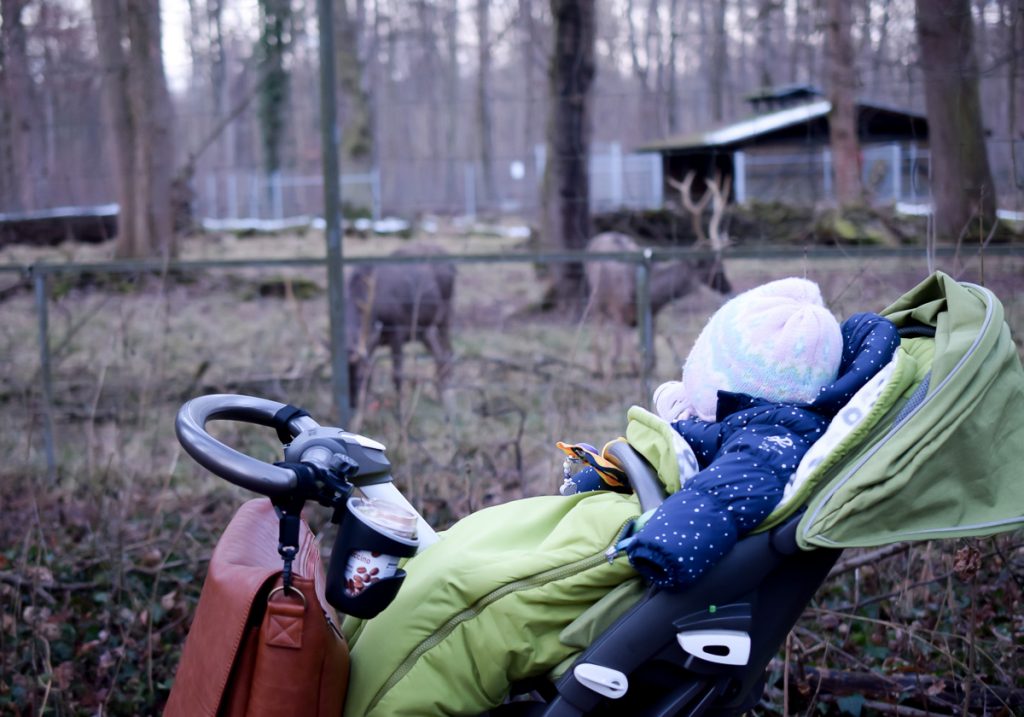 Familienausflug in den Tierpark im Winter mit Kleinkind in den Wildpark Oberwald Karlsruhe