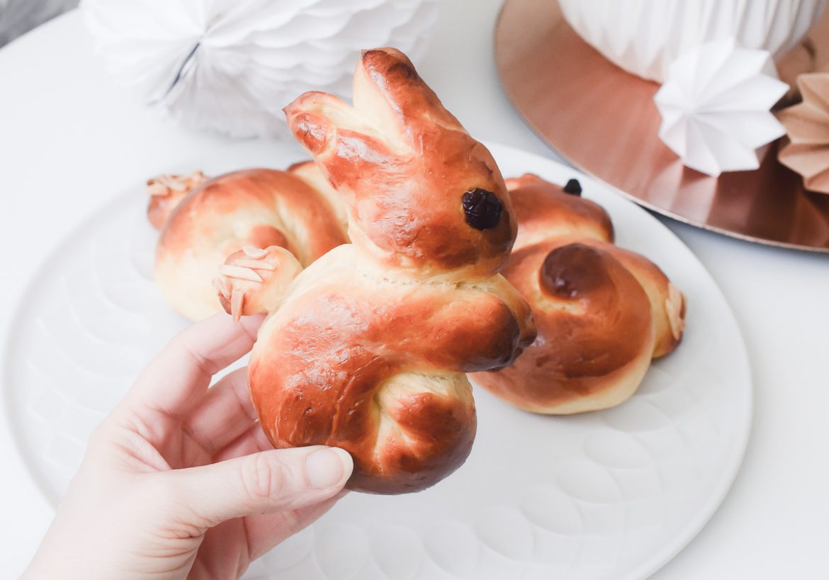 Medion Küchenmaschine MD16361 Rezept Hefezopf Ostertraditionen Süße Osterhasen Hefeteig Ostern mit Kindern