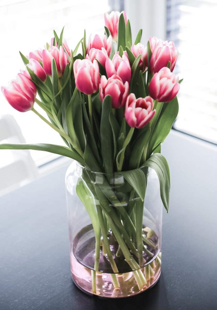 Tulpen länger haltbar in Vase Tulpenstrauß länger frisch Tipps