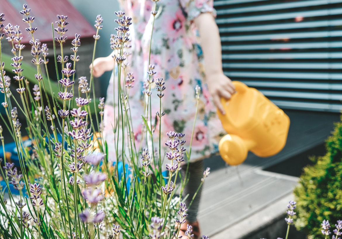 Gärtnern mit Kindern Ideen und Tipps