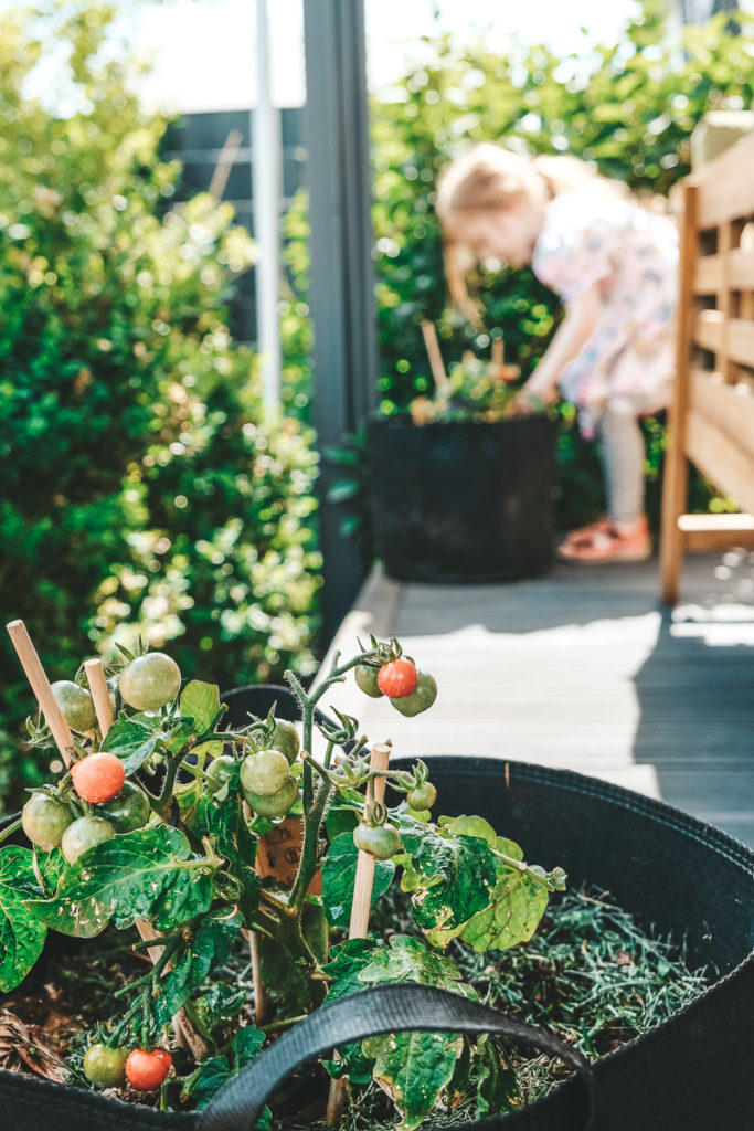 Mit Kindern gärtnern auf Balkon oder Terrasse