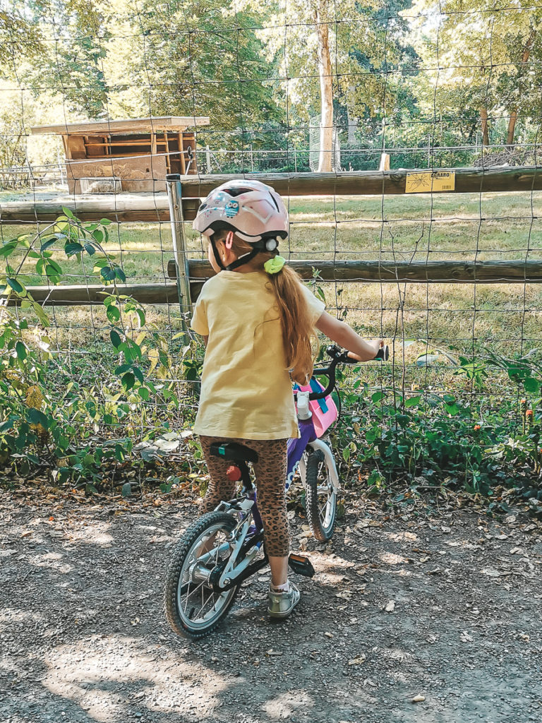 Kind Radfahren lernen ohne Stützräder Tipps und Erfahrungsbericht