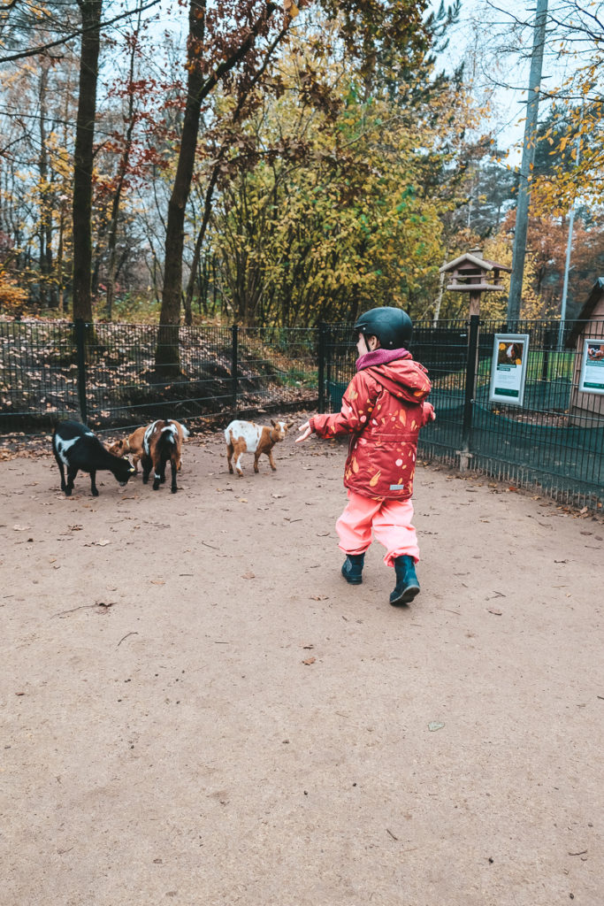 Center Parcs Bispinger Heide Urlaub mit Kindern im Herbst