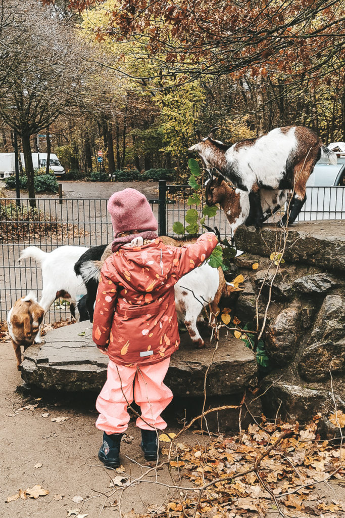 Kinderbauernhof Center Parcs Bispinger Heide Erfahrungen