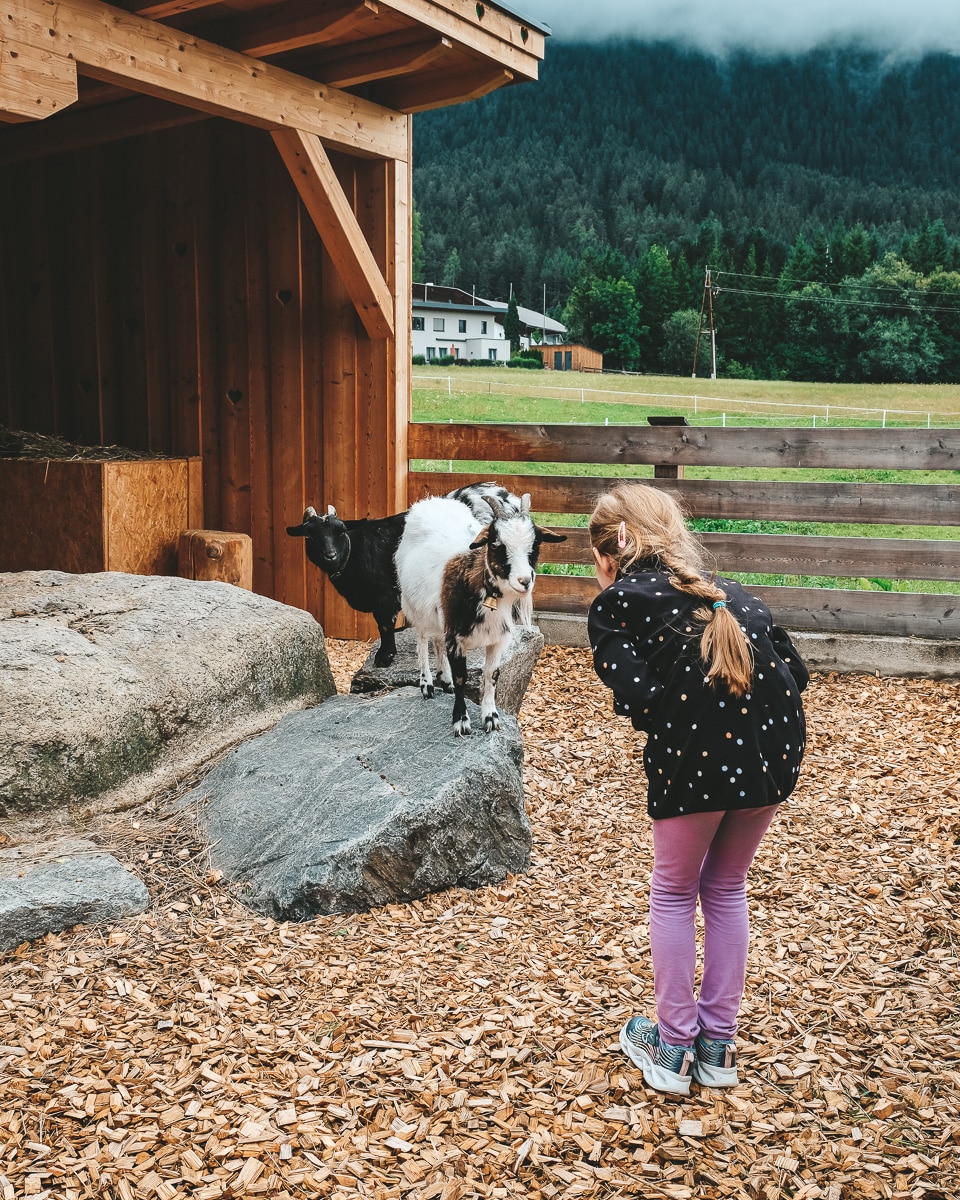 Der Stern nachhaltiges Familienhotel in Tirol in Österreich Erfahrungsbericht