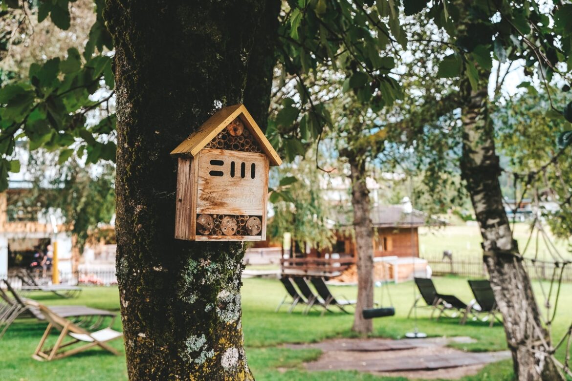 Der Stern nachhaltiges Familienhotel in Österreich