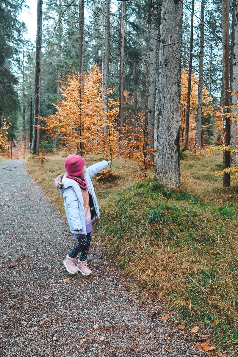 Wanderung zur Gamsalm Tirol