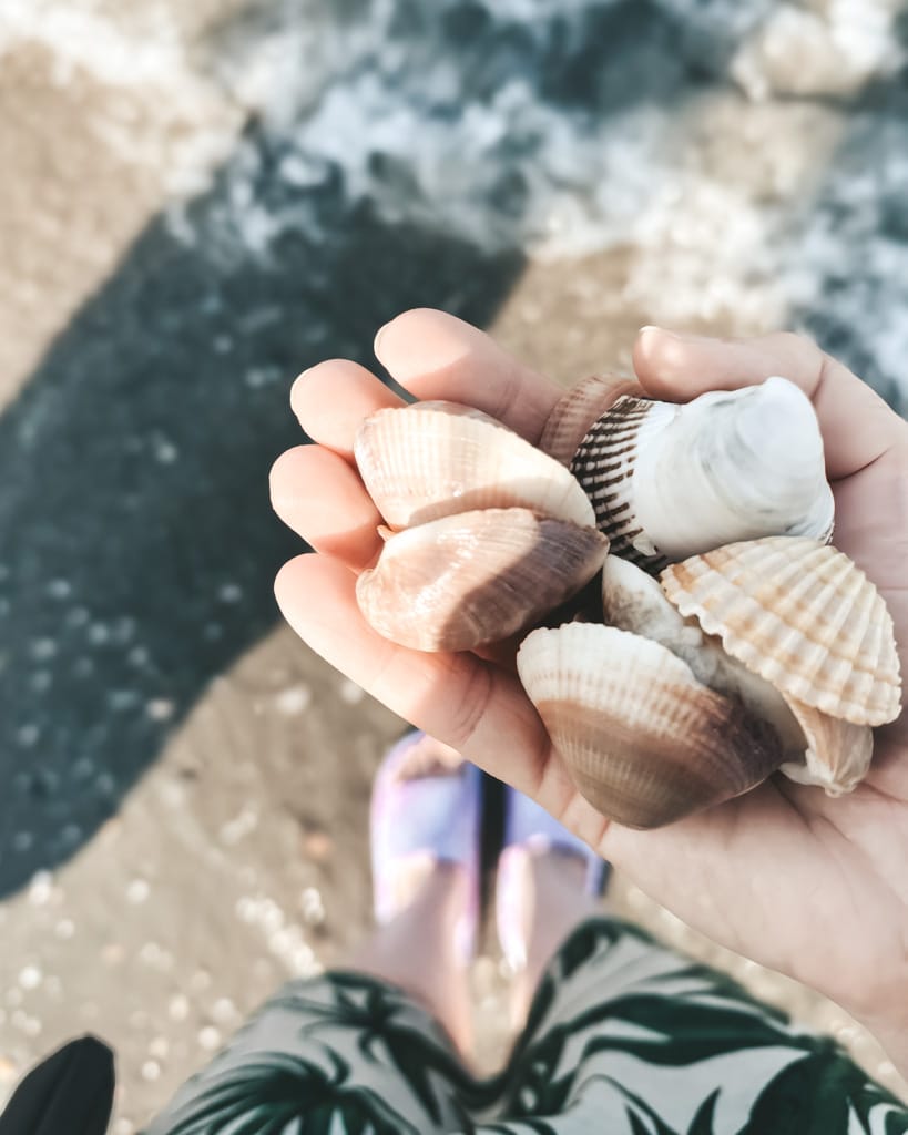 Muscheln am Strand in Italien